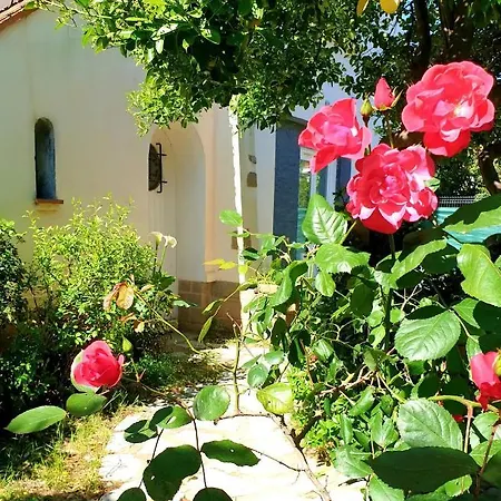 Apartmán Au Calme Confort Proche Des Plages - Jardin Wifi Parking Fréjus