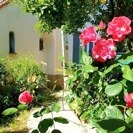 Apartment Au Calme Confort Proche Des Plages - Jardin Wifi Parking Frejus